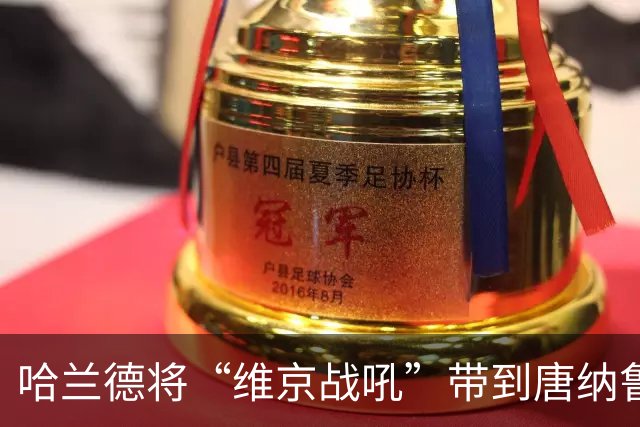 哈兰德将“维京战吼”带到唐纳鲁马婚礼，世界杯经典名场面重现
